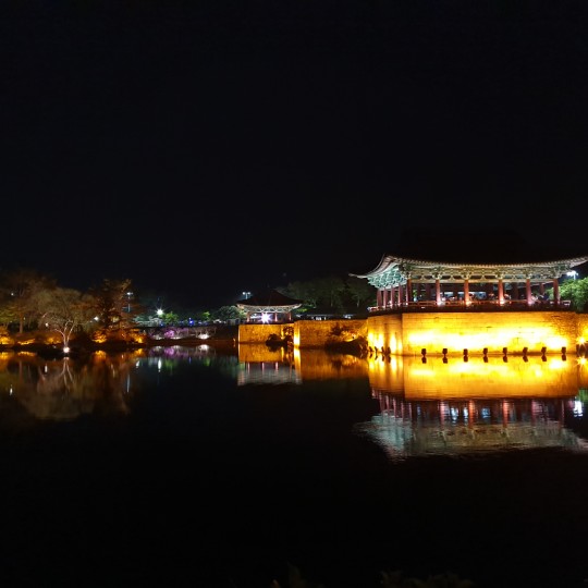 포레스트