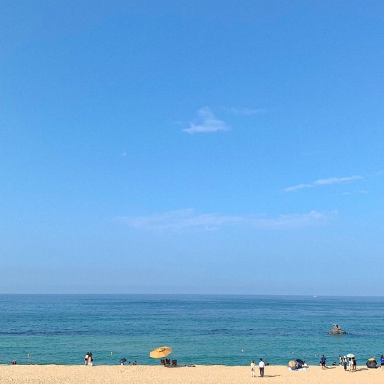 꿈낭밥집