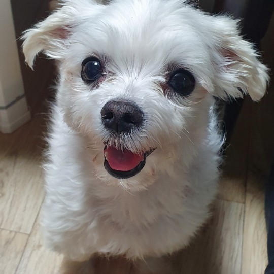 토박이국밥