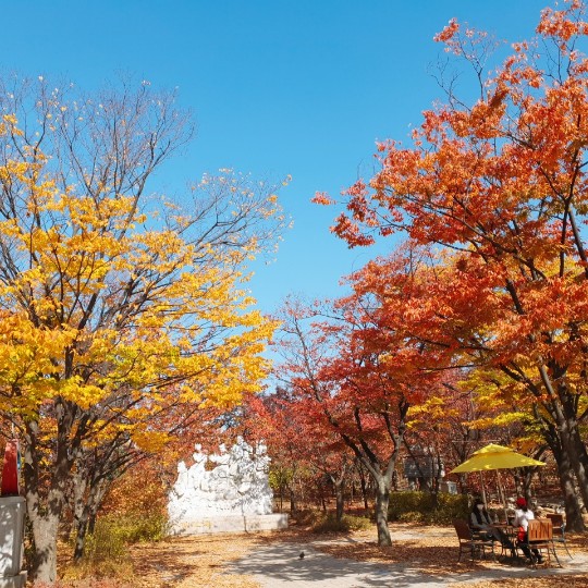 바람이풀에그림그린날