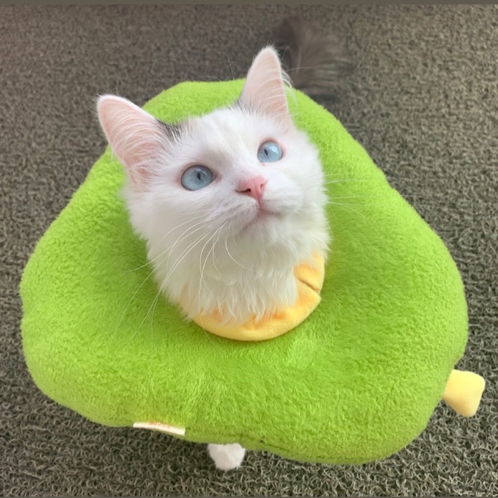 user profile image
