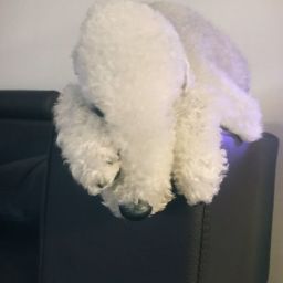user profile image