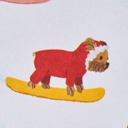 user profile image
