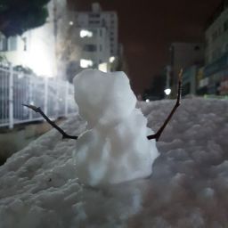 기묘화니