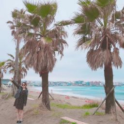 신 애