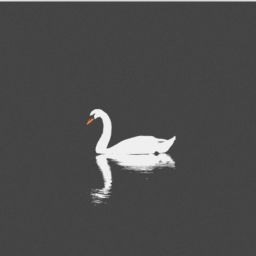 user profile image