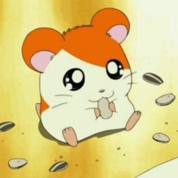 해바라기 씨