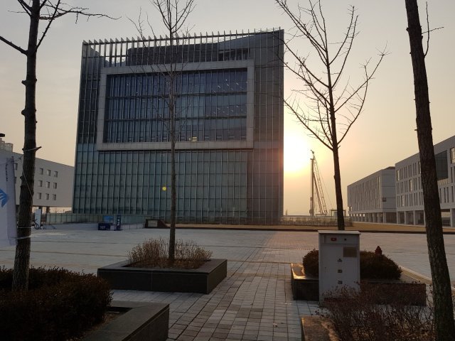 제주 한라 국수