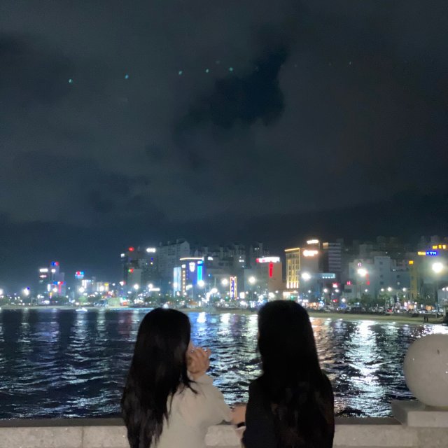 해운대 31cm 해물 칼국수 본점