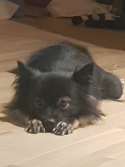 user profile image