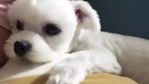 연2회꼭가자