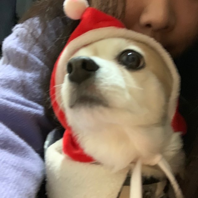 김민정