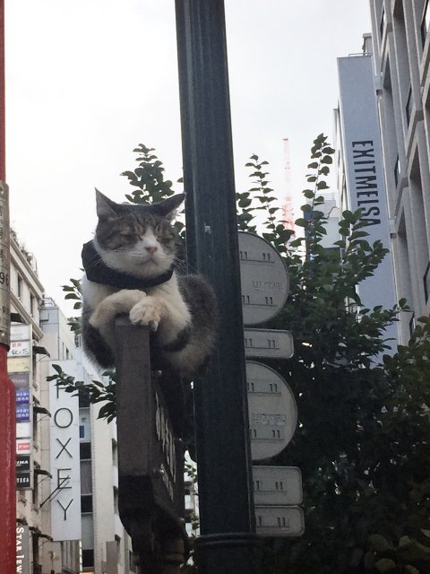 좋은집