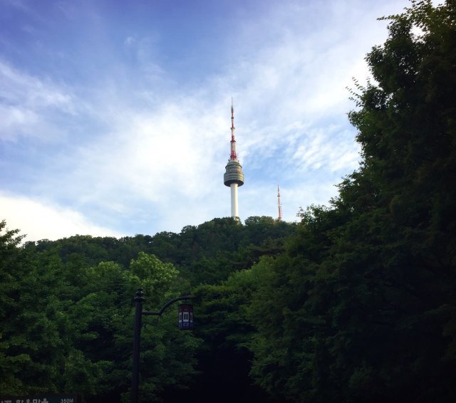 정주희
