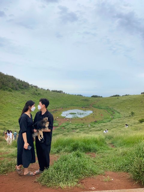 태히
