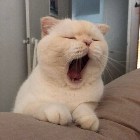 유진