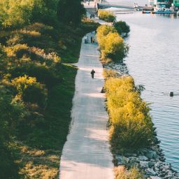 Seoul Hangang River Parks: The Urban Oasis
