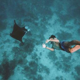 [발리] 누사 페니다에서 만타 스노클링 & 서부 누사 페니다 투어 