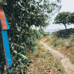 想走一次的路——探访济州偶来小路