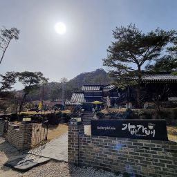 가비가배