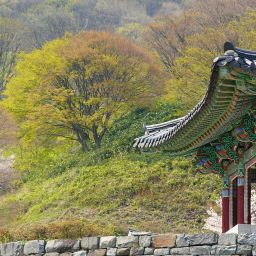 연화사