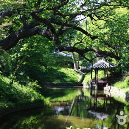 Changdeokgung Palace
