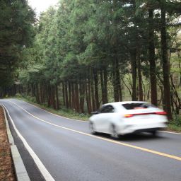 Renting a Car in Jeju