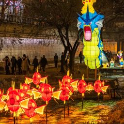 2025 ソウルランタンフェスティバル 清渓川の光の祭典 | NOL World