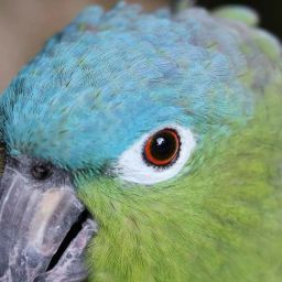 툴룸, 4개 세노테, 플라야 델 카르멘