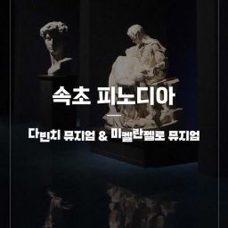 [강원]피노디아 뮤지엄 입장권