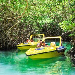 칸쿤: 스피드 보트 맹그로브 정글 & 스노클링 투어