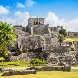 툴룸 마야 유적지 투어 & 거북이 스노클링 & 세노테 수영