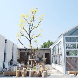 더 반 이터리 디자인