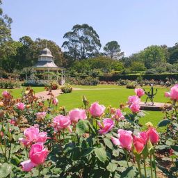 울릉공 보타닉 가든