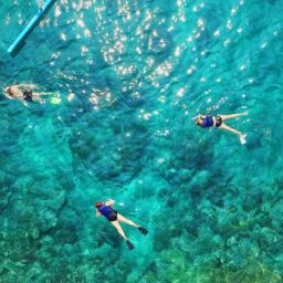 [발리] 블루라군 & 탄중제푼 스노클링 체험 – 발리 인기 스팟 완전 정복!