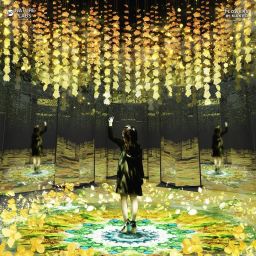 naked flowers exposed 大型本 naked flowers exposed 大型本