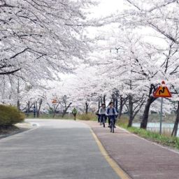 영랑호