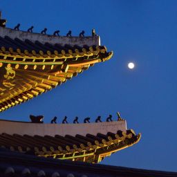 昌徳宮の月明かり紀行