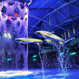 노호탄 해양공원