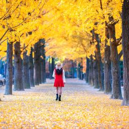 自然いっぱい！癒しの加平へ