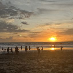 [ 3-5월 단독 프로모션 ] 사마사마 발리 마지막날 체크아웃투어 with DSLR 카메라 (남부/우붓/시내)