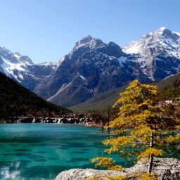 [여강] 옥룡설산 & 인상여강쇼관람 데이투어