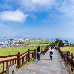 How to Plan Your Trip to Jeju