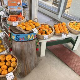 데시마 마르셰