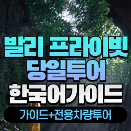 [상위1%한국어가이드] 티라의 내맘대로 발리정복 1일(가이드+전용차량투어)