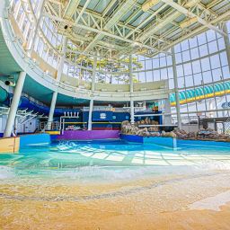 [강원] 롯데리조트속초 워터파크 프로모션(4월)