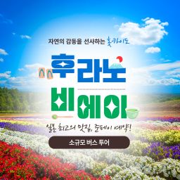 [소규모투어]미슐랭 준페이 웨이팅 없이 식사! 후라노, 비에이 버스투어