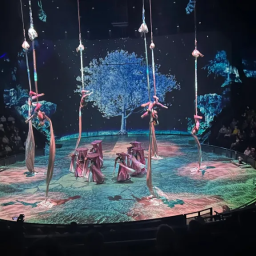 [특가한국어현장안내-바로입장]상하이 마시청 서커스입장권A/B석