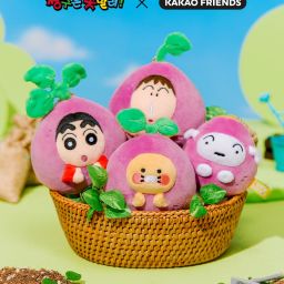 K-POP · ポップアップ · センイルカフェ | NOL World