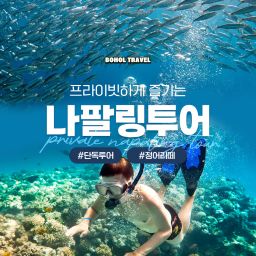 [보홀트래블] 단독 보홀 나팔링 투어 스노클링 정어리떼 체험 프리다이빙